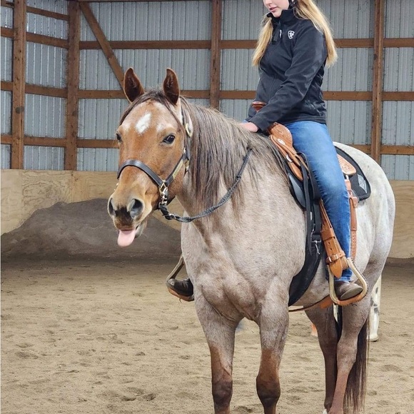 Meet your Posher, Morgan - Picture 14 of 16